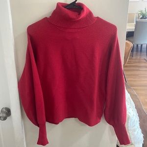 Pink Rose Vintage Red Sweater
